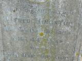 image of grave number 207156